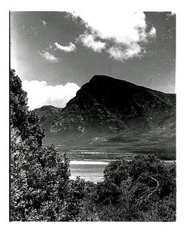 Hermanus, 1938. Shawo mountain.