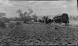 South-West Africa. Wagon with span of mules on trek over sandy terrain.