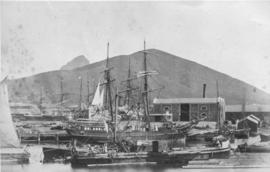 Cape Town, 1870. Table Bay Harbour with sailing vessels.