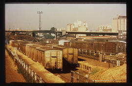 Johannesburg, September 1975. Livestock wagons at Braamfontein. [EG Butcher]