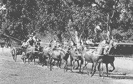 Port Elizabeth, 1936. Mules and wagons.