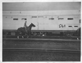 
Princess Elizabeth on horseback alongside Royal Train.
