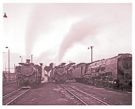 "Kimberley, 1978. SAR Class 24 and 25NC at Beaconsfield locomotive depot.