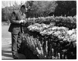 Vaal Dam, 1 May 1948. Photographer admiring flower bed after arrival of the demonstration flight ...