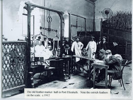 Port Elizabeth, circa 1912. Interior of Feather Market hall with feathers being weighed.
