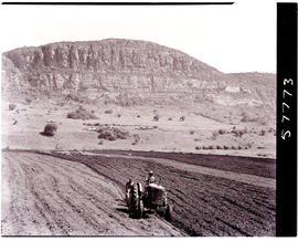 Louis Trchardt district, 1951. Ploughing.