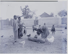 Pretoria district, 1952. Ndebele women and chickens around pot with kraal behind.