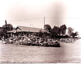 Estcourt, 1947. Frere station garden.