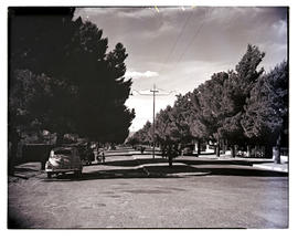 "Aliwal North, 1952. Tree-lined street."