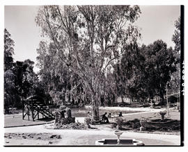 "Aliwal North, 1938. Gardens at hot springs resort."