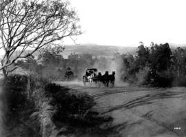 Pietermaritzburg district. Post cart with six horses.