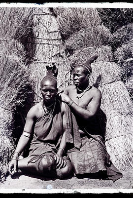 Natal. Hair of Zulu woman being dressed.