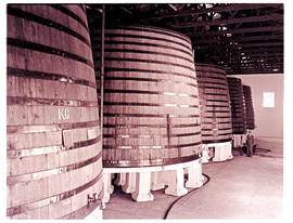 Paarl, 1945. Rows of 1000 hectolitre wine vats at KWV distillery.