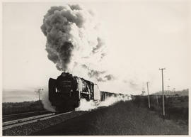 Kroonstad district, 1957. SAR Class 15F with goods train.