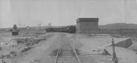 Fish River, 1895. Two trains, station buildings in background. (EH Short)