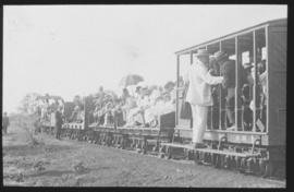 Naboomspruit, 1925. Roadrail train with passengers.