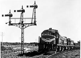 Kirkwood district, 1968. SAR Class 33-000 No 33-410 with goods train near Addo.
