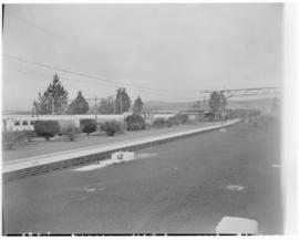 Lions River, 17 March 1947. Station garden.