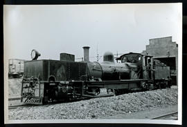 Estcourt, circa 1964. SAR Class NGG11 No 54 at Estcourt shed.