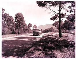 Hermanus district, 1963. SAR Mercedes Benz bus No MT17260 with trailer on the road.