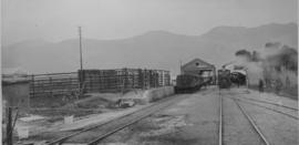 Piketberg, 1895. Cape 6th Class on train in station, loading platform and locomotive shed in the ...