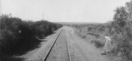 Courtlands, 1895. Railway line. (EH Short)