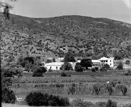 Montagu district, 1947. Knipes recreation farm.