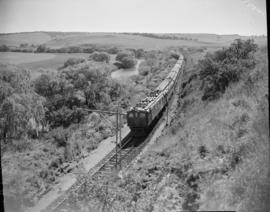 Natal, 1949. SAR Class 1E hauling main line passenger train.