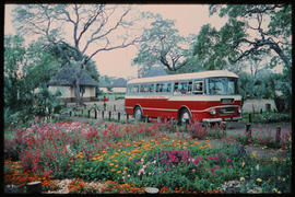 SAR Leyland Royal Tiger tour bus in rest camp.