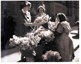 Cape Town, 1950. Flower seller.