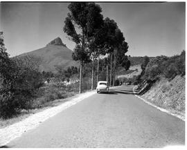 Cape Town, 1950. Road to Signal Hill.