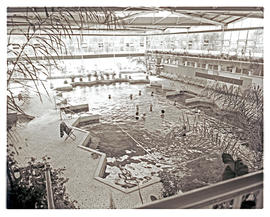 "Aliwal North, 1967. Enclosed pool at hot spring resort."