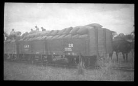 SAR type 8-E-2 No 28 goods wagons loaded with bags.