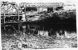 Humansdorp district, circa 1911. Gamtoos River bridge construction. (Album of Gamtoos River bridg...