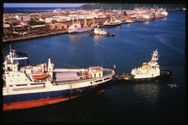 Durban, 1979. SAR tug at work in Durban Harbour.