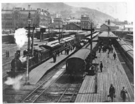 Cape Town, 1893. Station platforms with many trains.