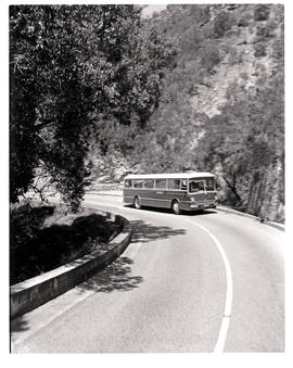 "Plettenberg Bay district, 1970. SAR Mercedez motor coach in Tsitsikamma forest."