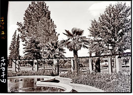 "Aliwal North, 1938. Public gardens."