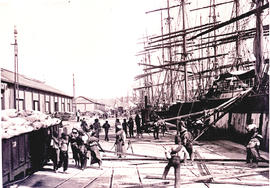 Durban. Timbers being loaded by hand from large sailship at St Pauls wharf.