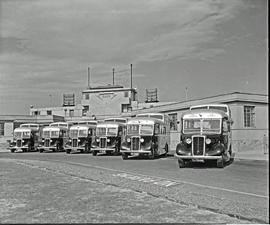 Johannesburg, 1947. Rand airport. SAA Commer Commando buses.