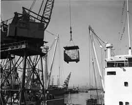 Cape Town, April 1971. Loading apples onto ship.
