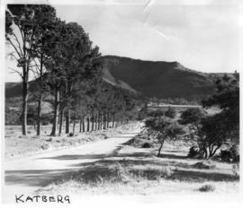Fort Beaufort district. Road leading to the Katberg Hotel.