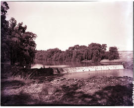 Standerton, 1951. Weir in the Vaal River.