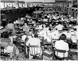 Port Elizabeth, 1950. Edworks shoe factory.