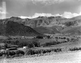 Montagu district, 1947. Orchards at Koo.