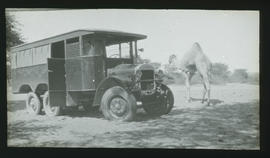 SAR Thornycroft three-axle combination bus and truck next to camel.
