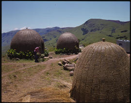Traditional Zulu huts.