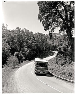 "Plettenberg Bay district, 1970. SAR Mercedez MT16381 motor coach in Tsitsikamma forest."