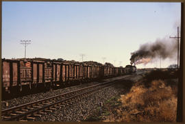 Hopetown district, September 1989. Steam locomotive with ore wagons near Witput. [D Dannhauser]
