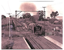Springs district, 1953. Goods train hauled by SAR Class 15F near Geduld.